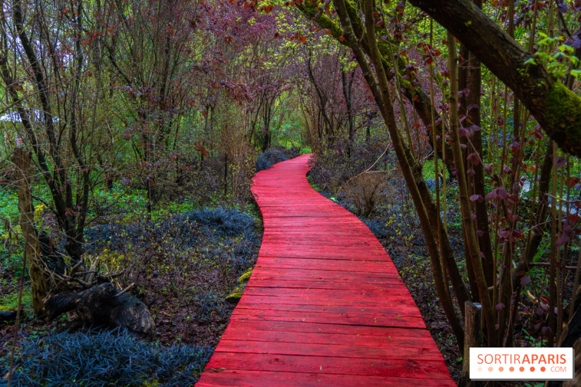 Le Moulin jaune - Hanami 2023 -  A7C1676
