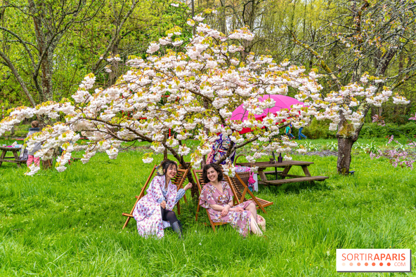 Le Moulin jaune - Hanami 2023