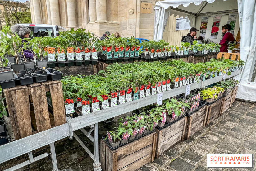 Esprit Jardin à Versailles - Marché aux plantes et animations