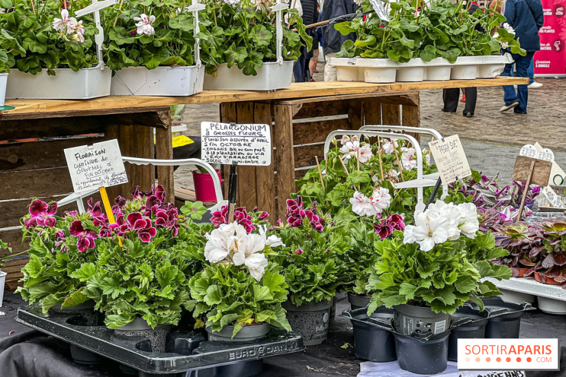 Esprit Jardin à Versailles - Marché aux plantes et animations