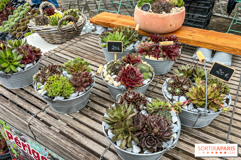 Esprit Jardin à Versailles - Marché aux plantes et animations