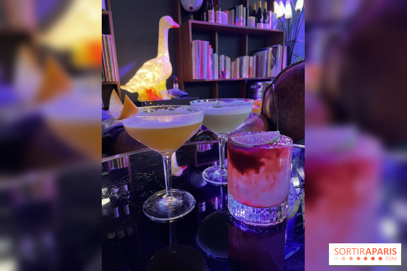 Griffon - Visuels - IMG 3820