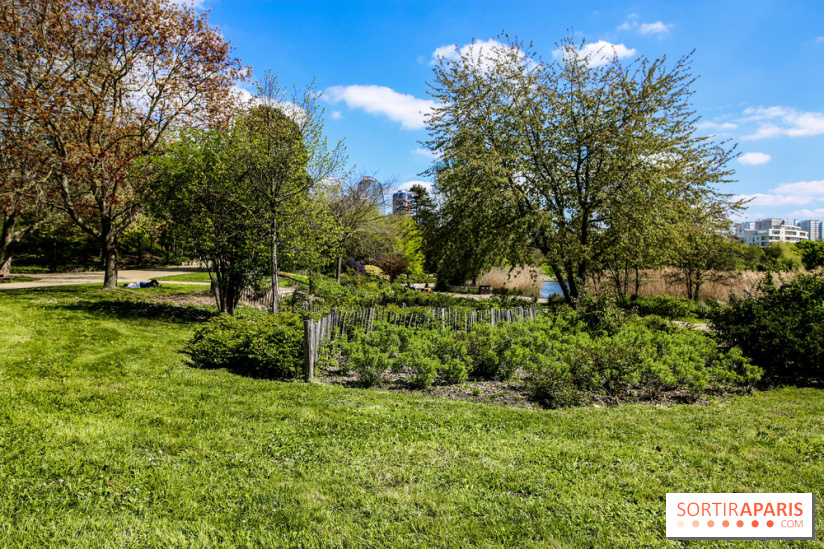 Parc André Malraux à Nanterre, nos photos - IMG 9729