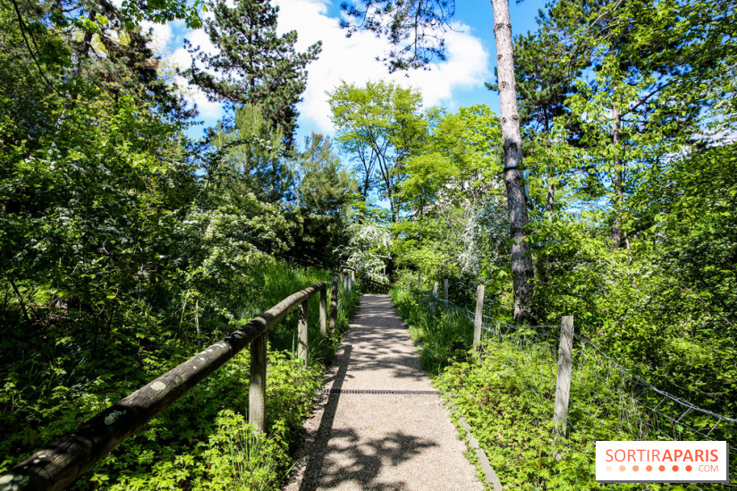 Parc André Malraux à Nanterre, nos photos - IMG 9730