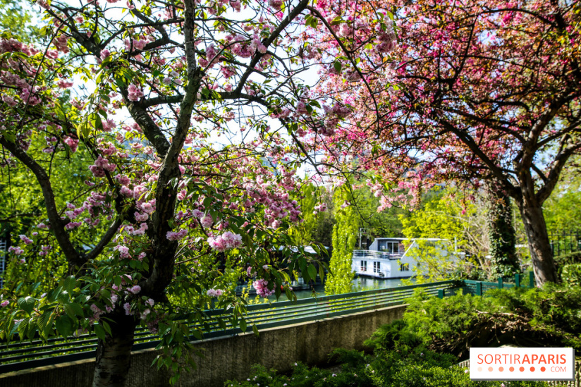 L'île de la Jatte, nos photos - IMG 9662