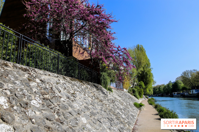 L'île de la Jatte, nos photos - IMG 9679