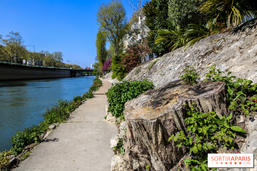 L'île de la Jatte, nos photos - IMG 9680