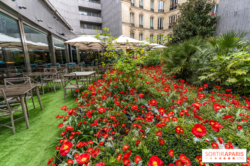 La terrasse cachée du Joy à l'Hôtel Fouquet's 2023 : le jardin de coquelicots -  A7C2754