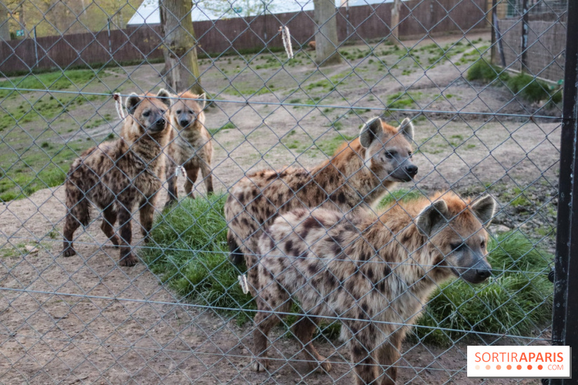 Zoo de Thoiry 2023 - B953FBC6 D3D9 47E5 AD11 5DD7515F3395