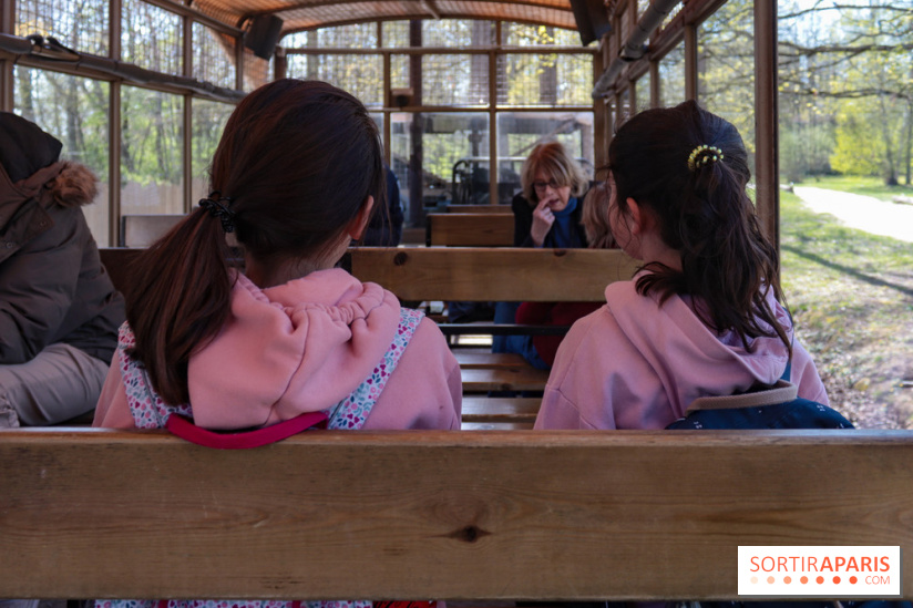 Zoo de Thoiry 2023 - Visuel enfant