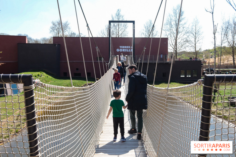 Zoo de Thoiry 2023 - Terre des gorilles