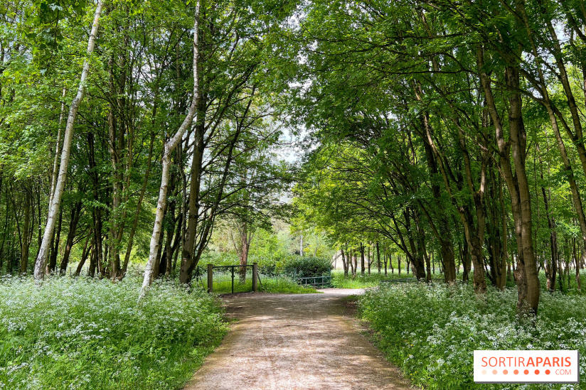 Balade - rando de Jouy-en-Josas jusqu'à l'Aqueduc de Buc - image00009