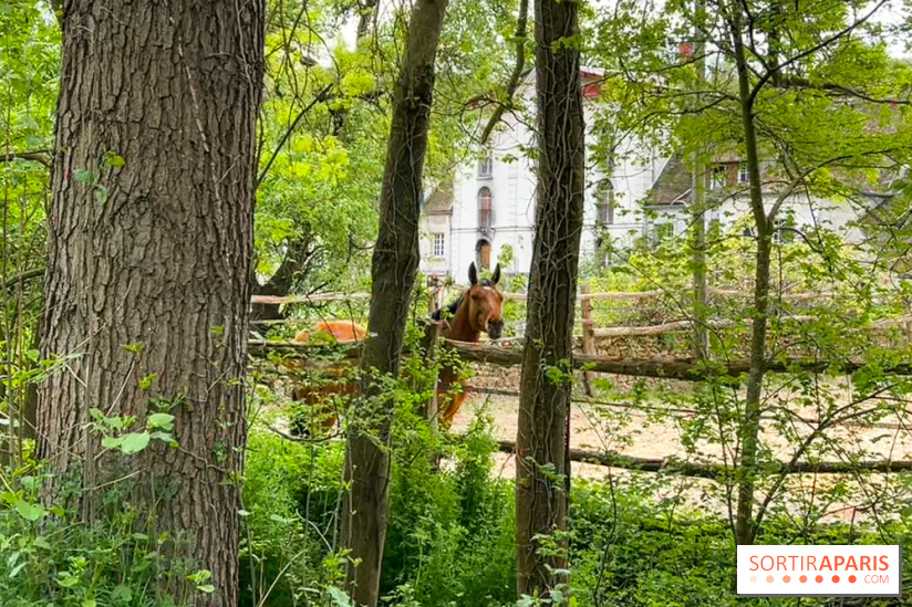 Balade - rando de Jouy-en-Josas jusqu'à l'Aqueduc de Buc