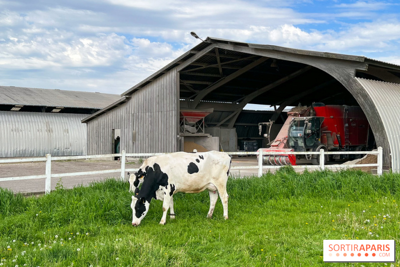 La Ferme de Viltain / La Cueillette de Viltain - image00010