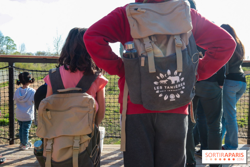 Les tanières du zoo de Thoiry 2023 -  Ours