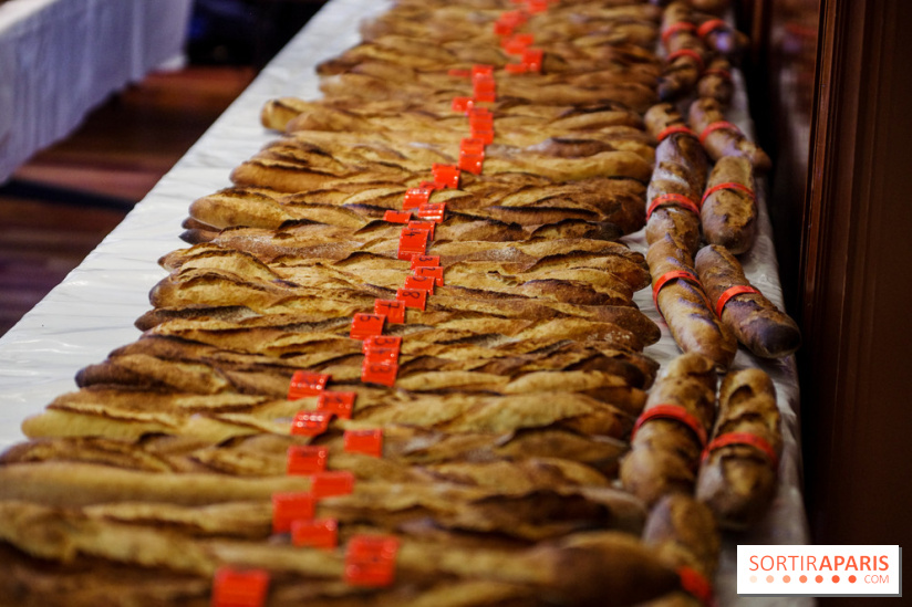 Concours de la meilleure baguette de Paris 2023 - Visuel baguette pain