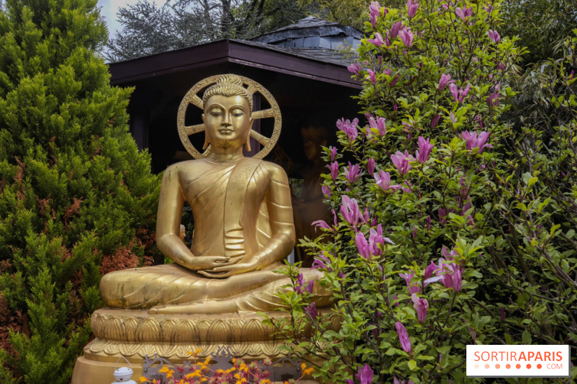 Wat Thammapatip Inrernational : la pagode bouddhiste et sa street food thaï, à Moissy-Cramayel - 8A0BB601 A591 4155 9363 62CE76412A10