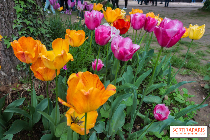 Wat Thammapatip Inrernational : la pagode bouddhiste et sa street food thaï, à Moissy-Cramayel - 50F5D52D D5E6 4A7B 9504 9907D05269BF