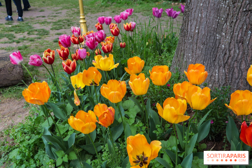 Wat Thammapatip Inrernational : la pagode bouddhiste et sa street food thaï, à Moissy-Cramayel - 99FD4B48 6186 4387 98E1 8653B6C21110