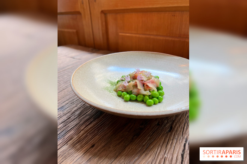 Géosmine - Maquereaux petits pois