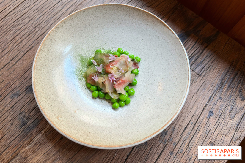 Géosmine - Maquereaux petits pois