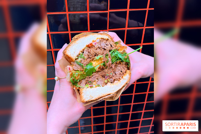 Alfi - Sandwich effiloché bœuf