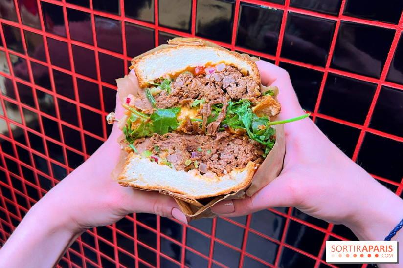 Alfi - Sandwich effiloché bœuf