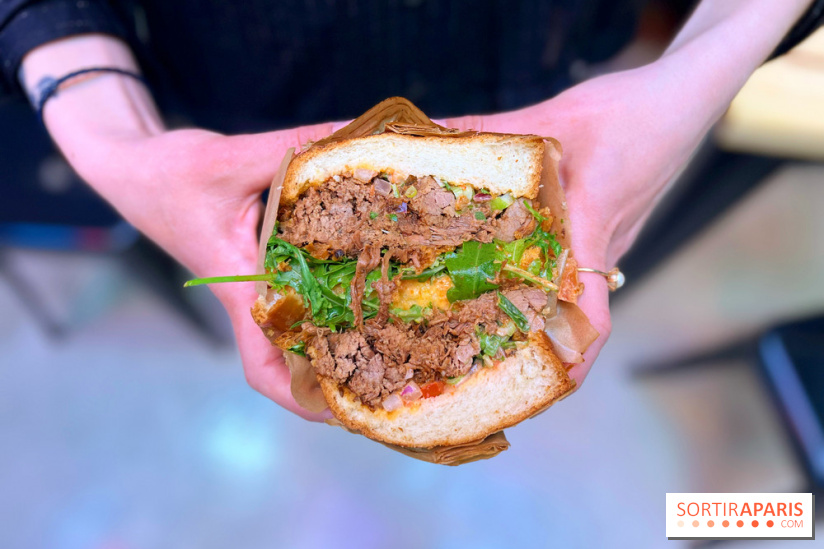 Alfi - Sandwich effiloché bœuf