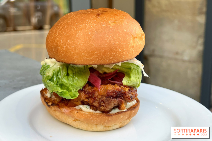 Nakatsu - Burger karaage