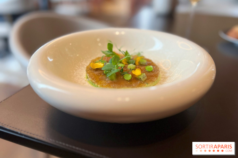 Trente-Trois, Maison Villeroy - Tourteau