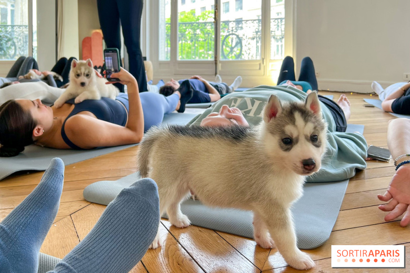 Puppy Yoga