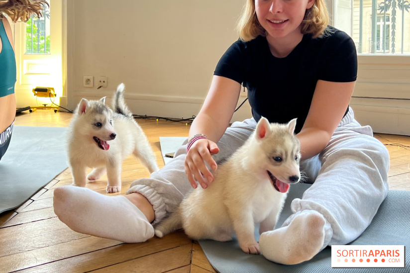 Puppy Yoga