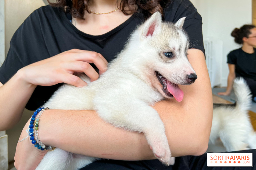 Puppy Yoga - image00010