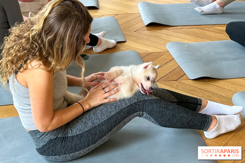 Puppy Yoga - image00011