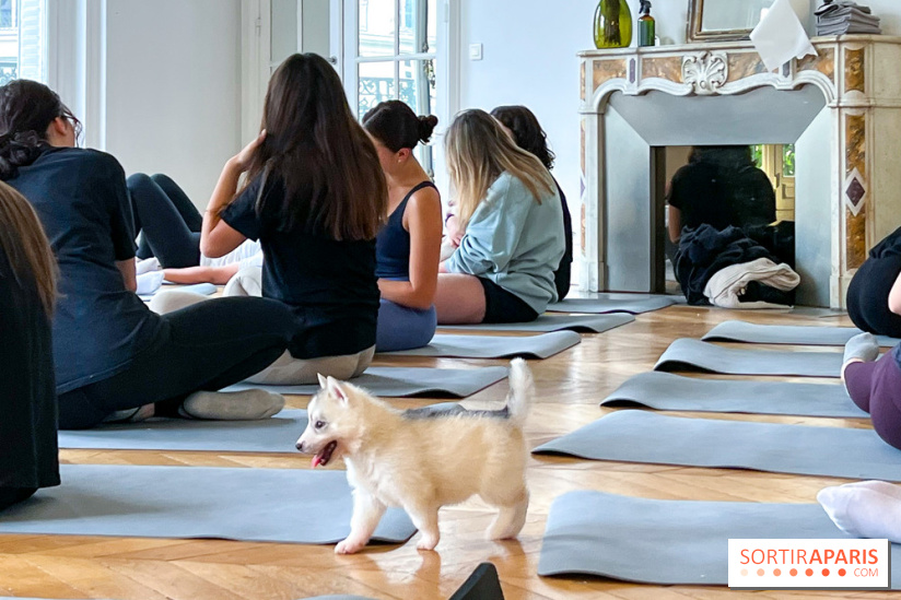 Puppy Yoga