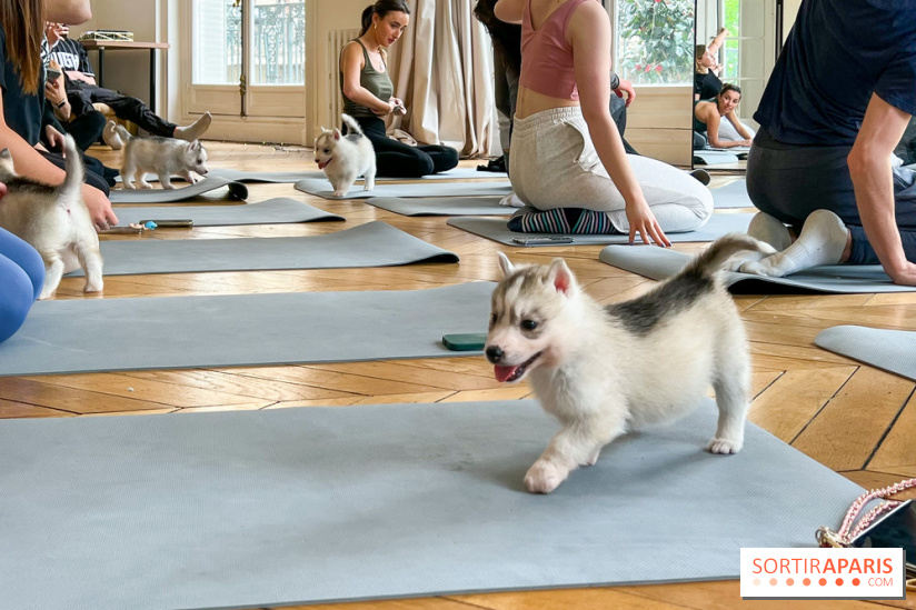 Puppy Yoga
