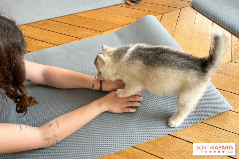 Puppy Yoga