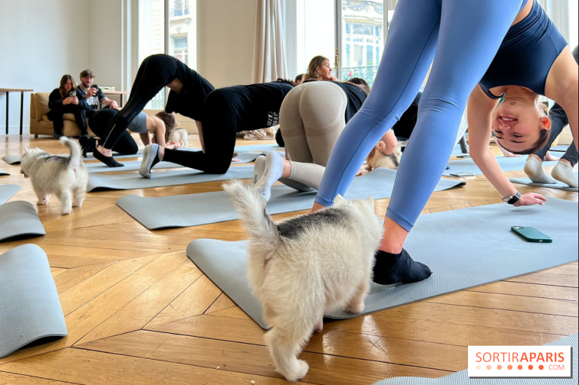 Puppy Yoga