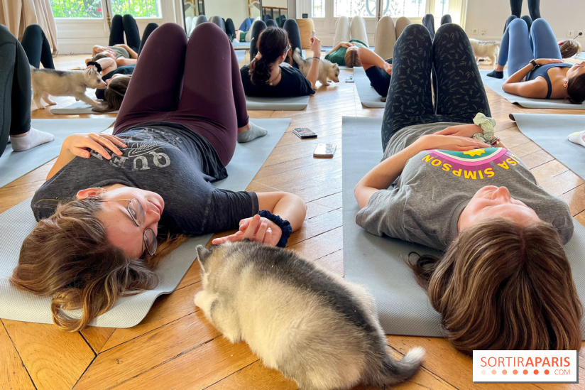 Puppy Yoga