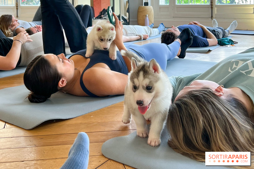 Puppy Yoga