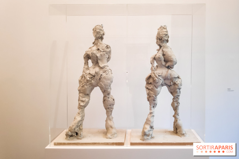 Exposition ASensitiv de Warren à l'Institut Giacometti - nos photos - IMG 20230515 114101