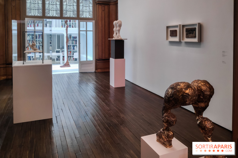 Exposition ASensitiv de Warren à l'Institut Giacometti - nos photos - IMG 20230515 114118