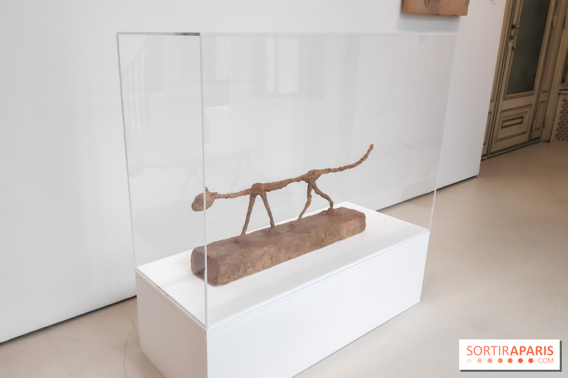 Exposition ASensitiv de Warren à l'Institut Giacometti - nos photos - IMG 20230515 114130