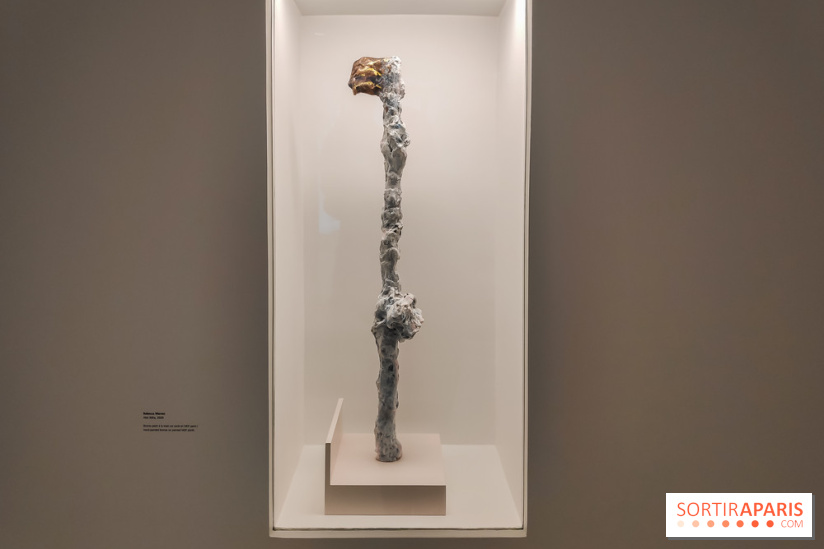 Exposition ASensitiv de Warren à l'Institut Giacometti - nos photos - IMG 20230515 114303 1