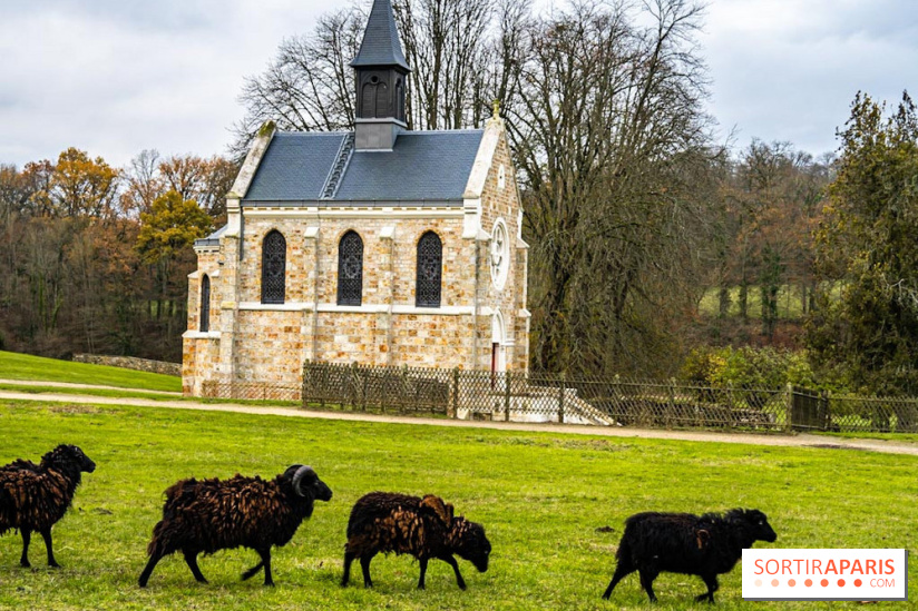 Domaine National de Port-Royal des Champs dans les Yvelines