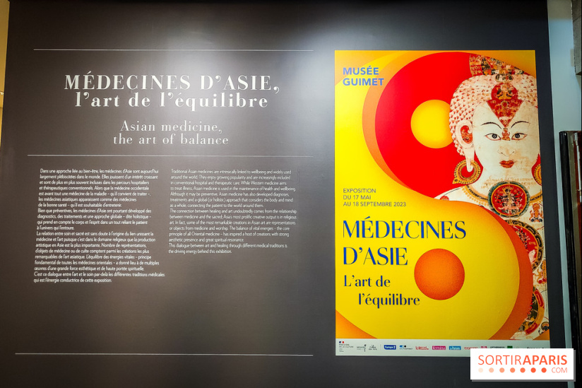 Médecines d'Asie, l'art de l'équilibre : l'exposition bien-être étonnante du musée Guimet - photos