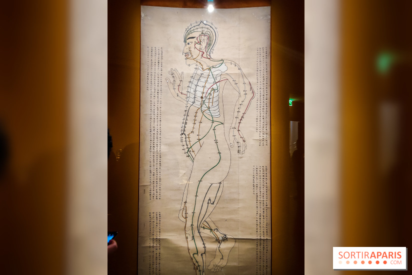 Médecines d'Asie, l'art de l'équilibre : l'exposition bien-être étonnante du musée Guimet - photos - IMG20230516103045