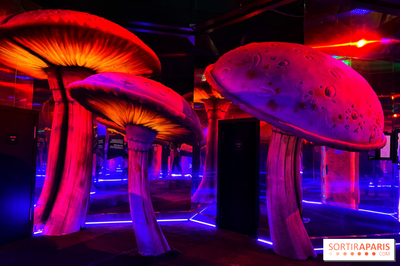 Le labyrinthe de Tim Burton
