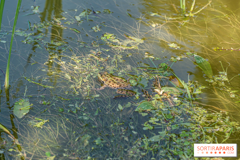 France Miniature : la France des légendes, le parcours immersif ludique -  A7C3923