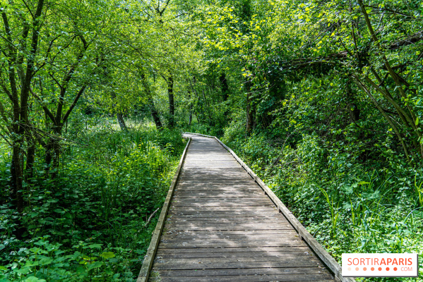 Sentier découverte de Maincourt - Vallée de Chevreuse -  A7C4054